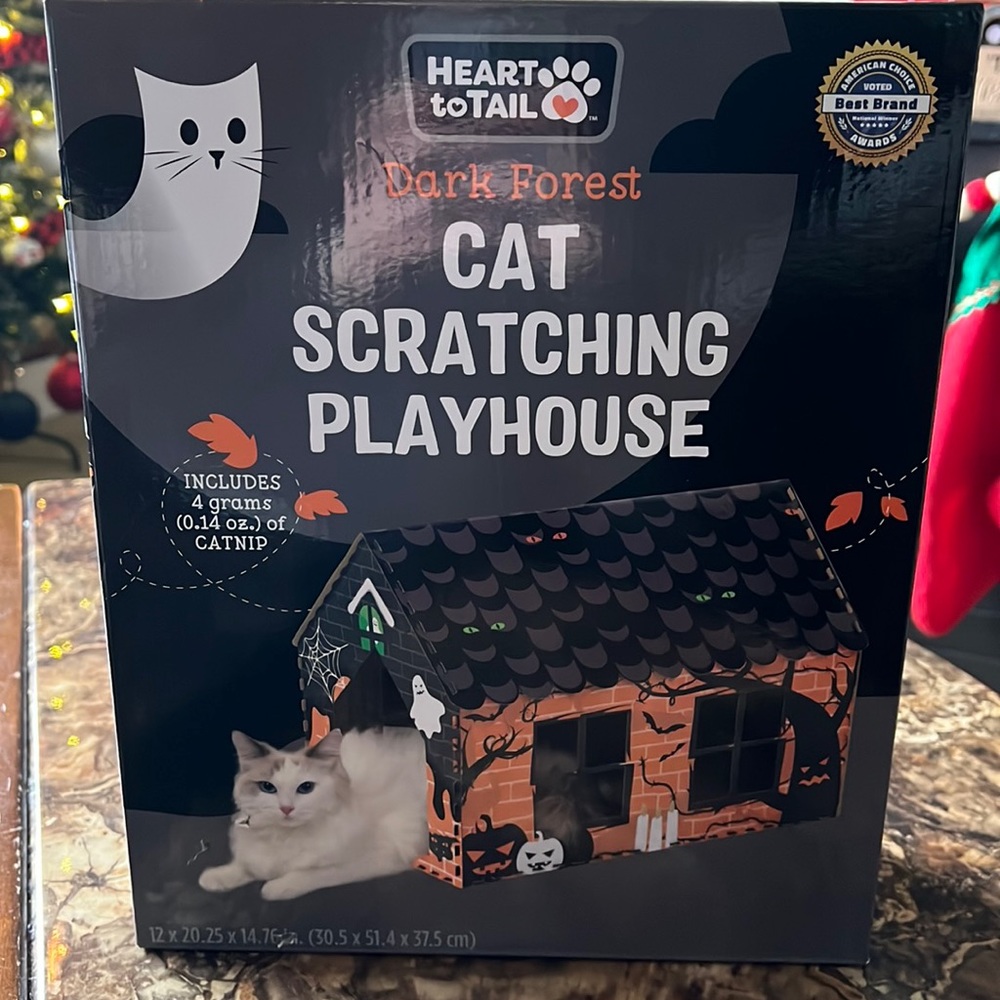Cat scratching house